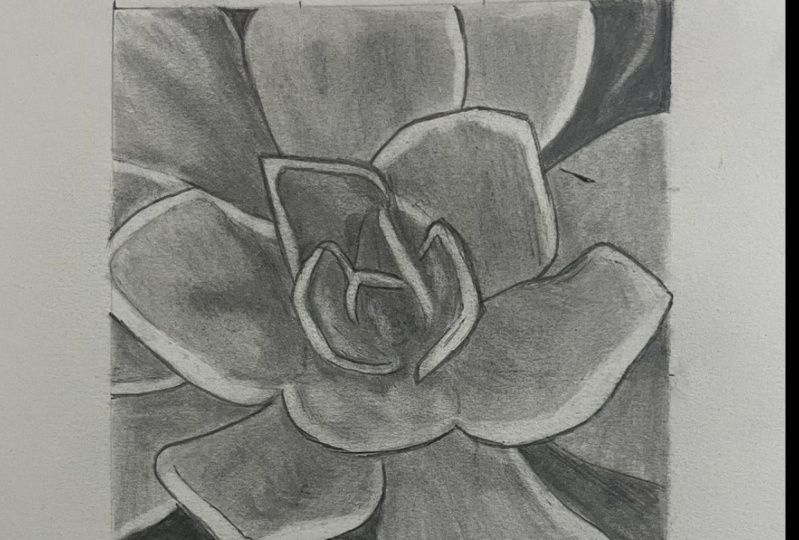 FLOWER SHADOW