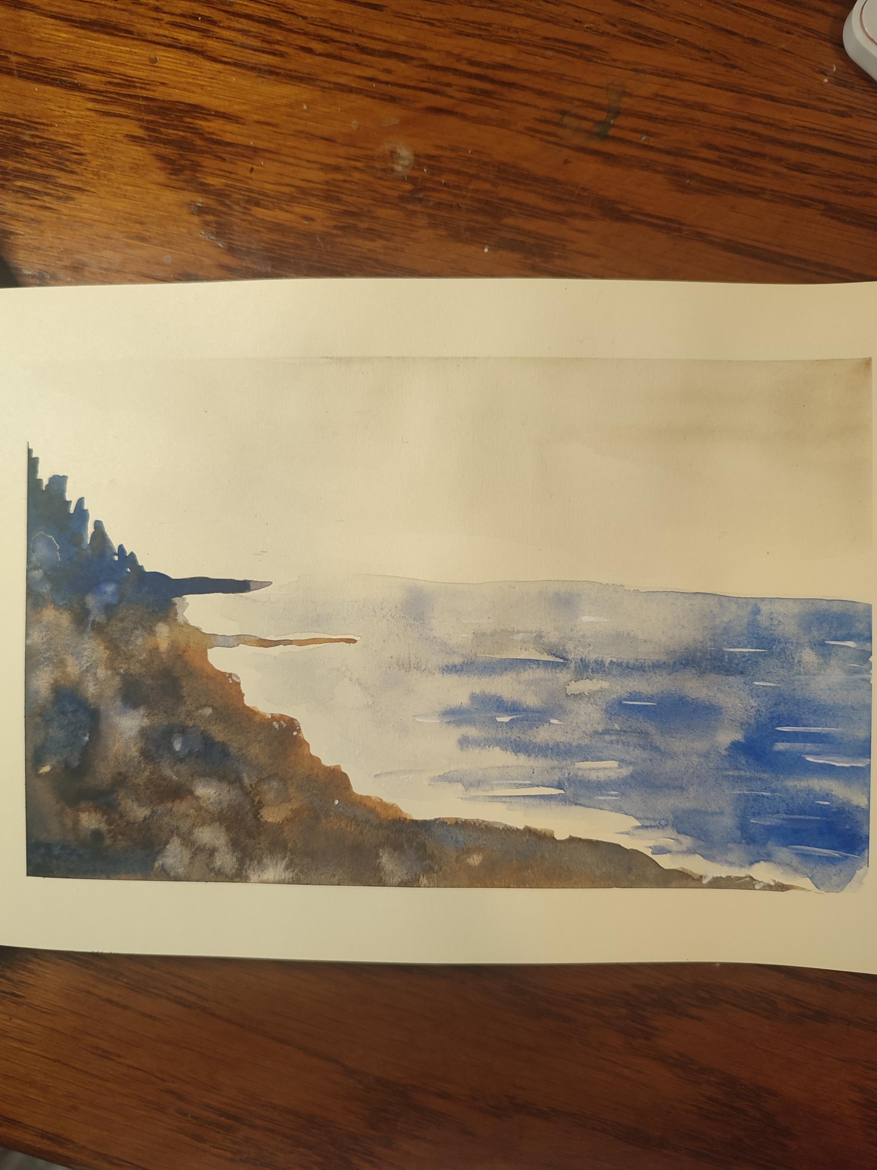 Rocky, tree-lined beach - student project
