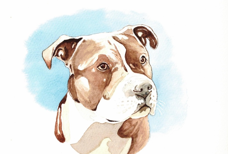 My Terrier