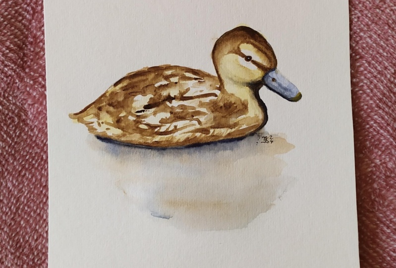Wet on wet duckling