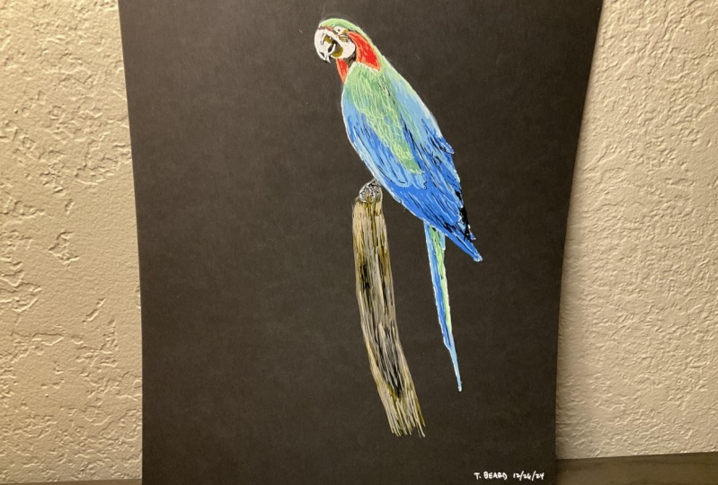 Parrot