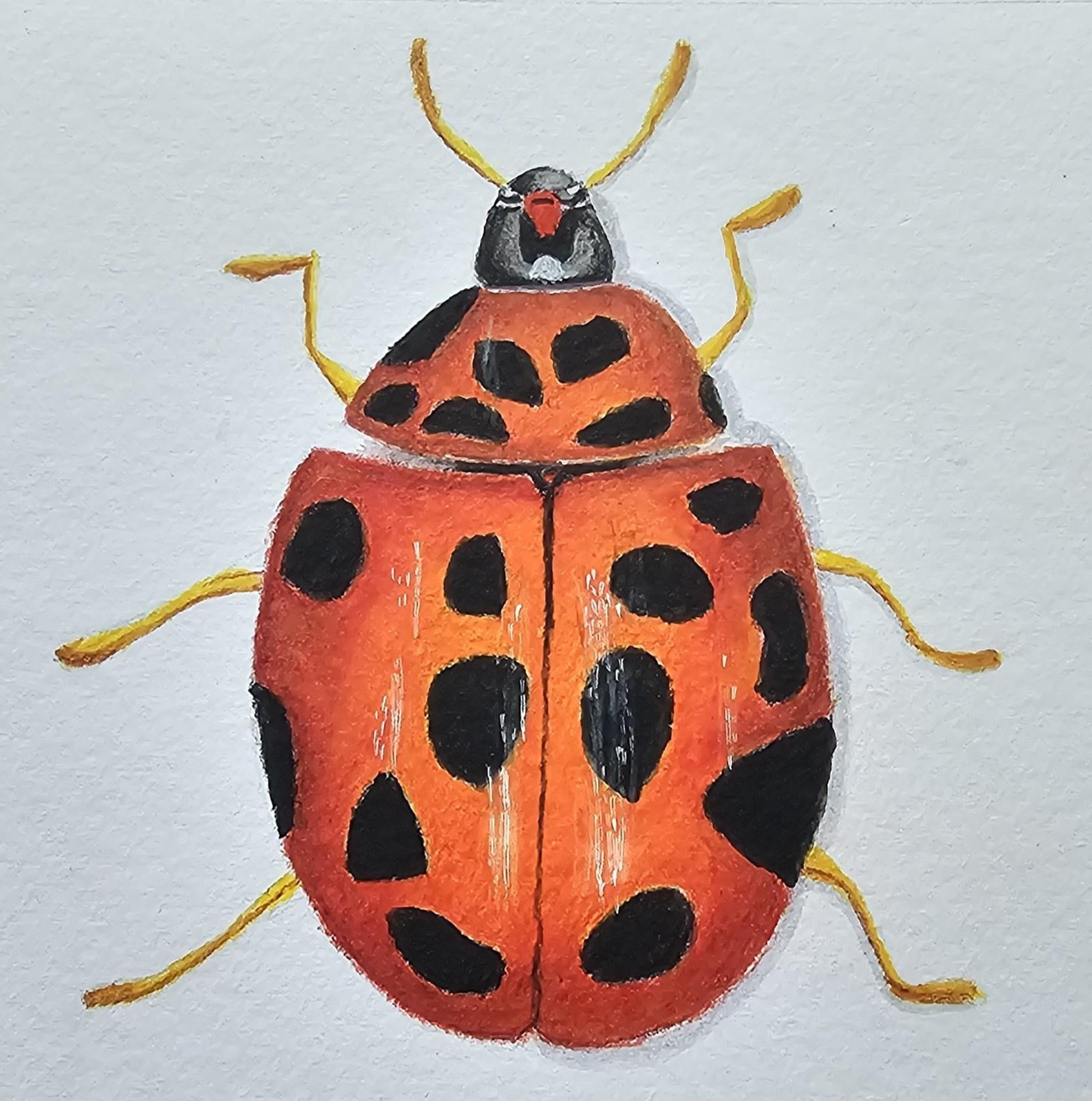 Ladybug - student project