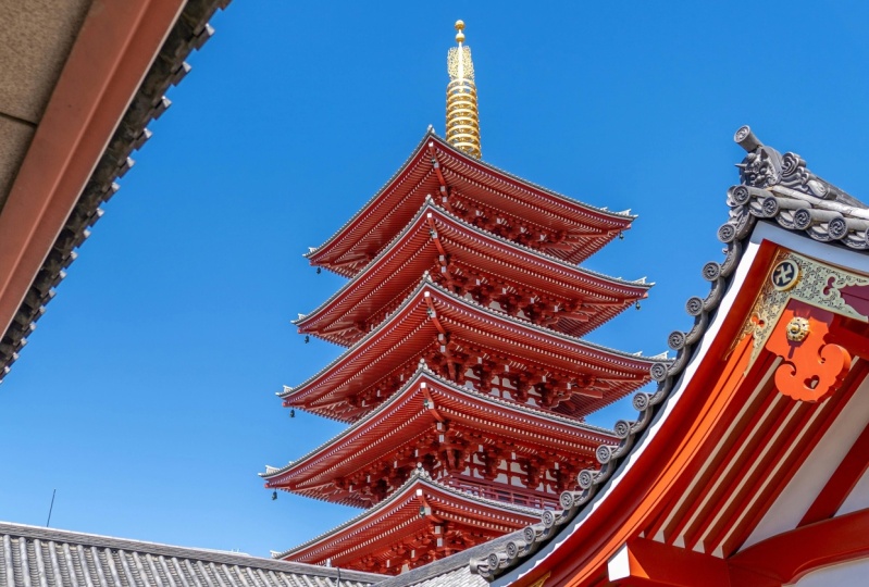An Tokyo Tour