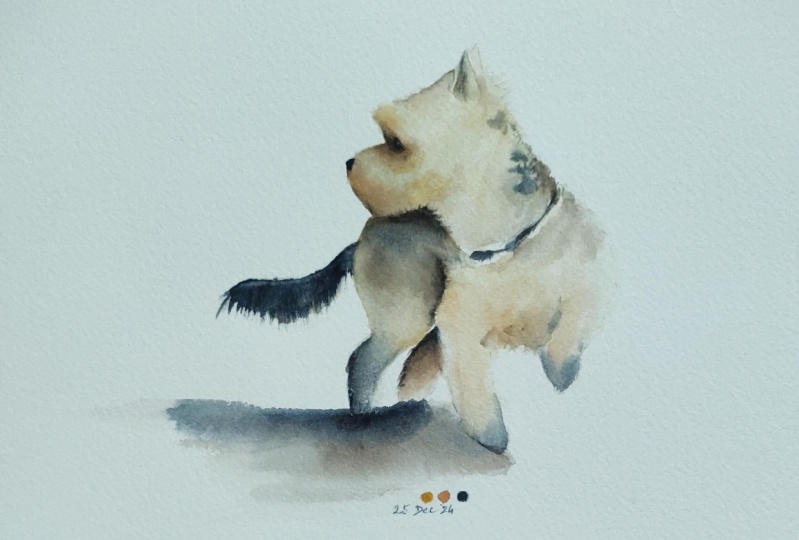 Yorkshire Terrier - a watercolour class with Nadine Dudek