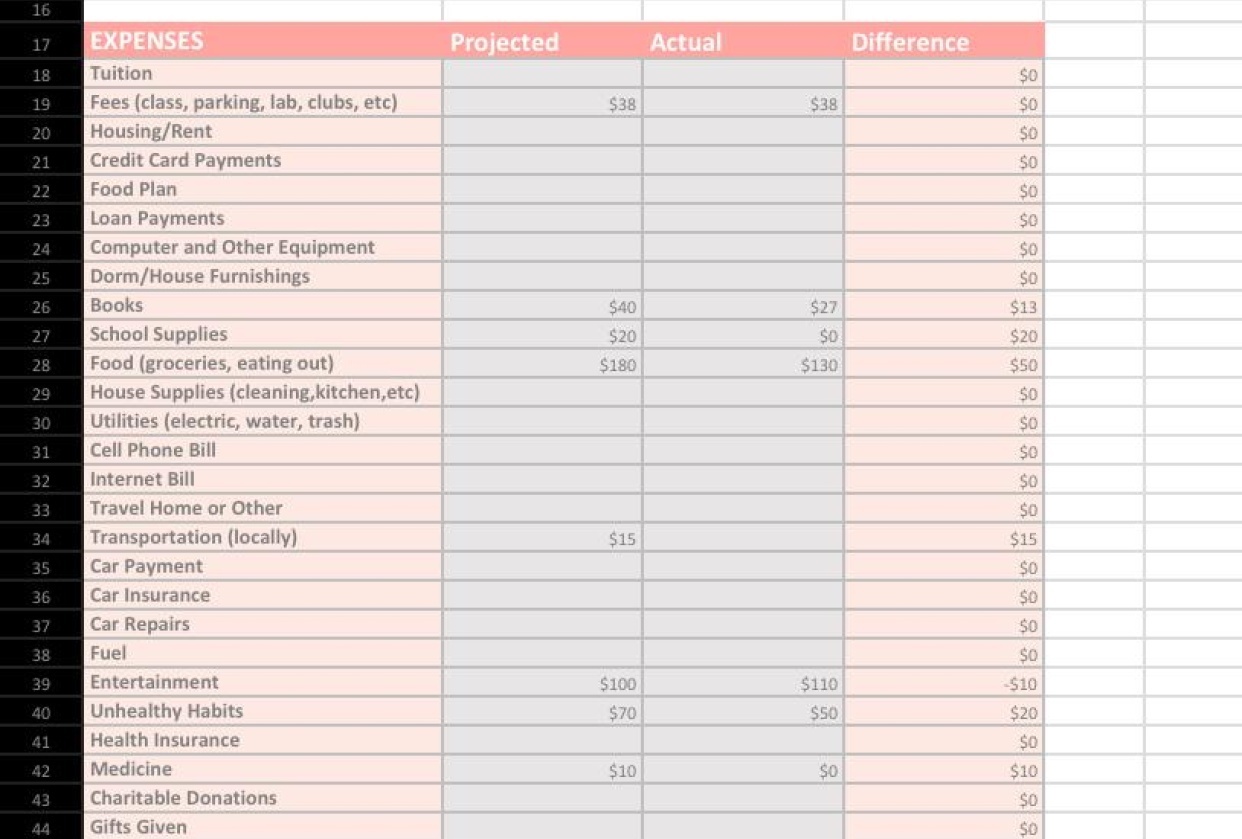 Excel spreadsheet of my expenses - student project