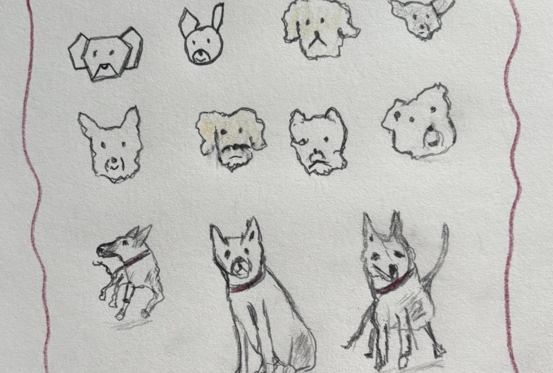 Doodle dogs