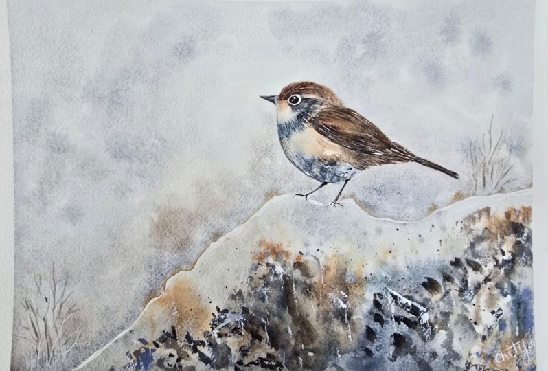 Snow bird