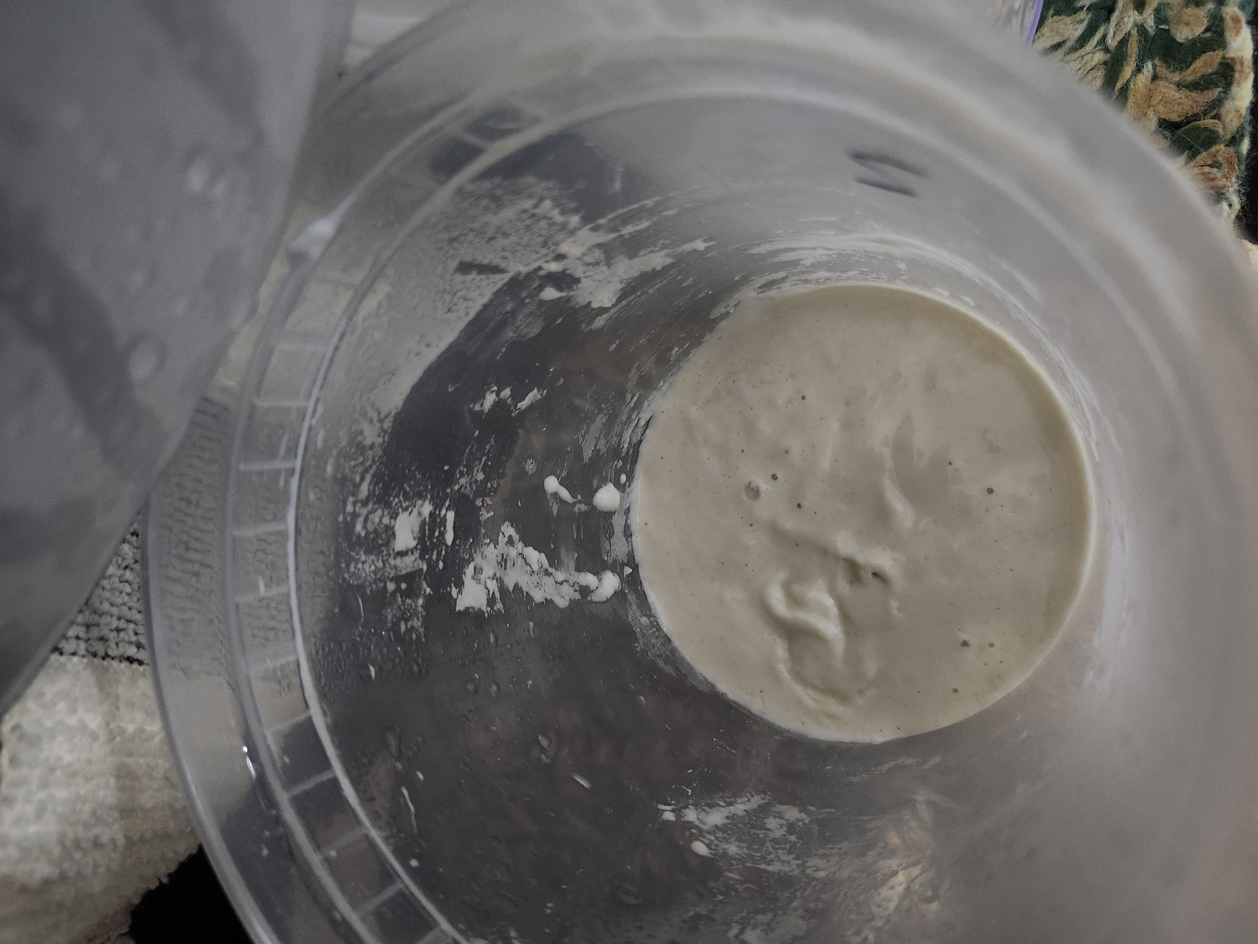 Sourdough starter - student project