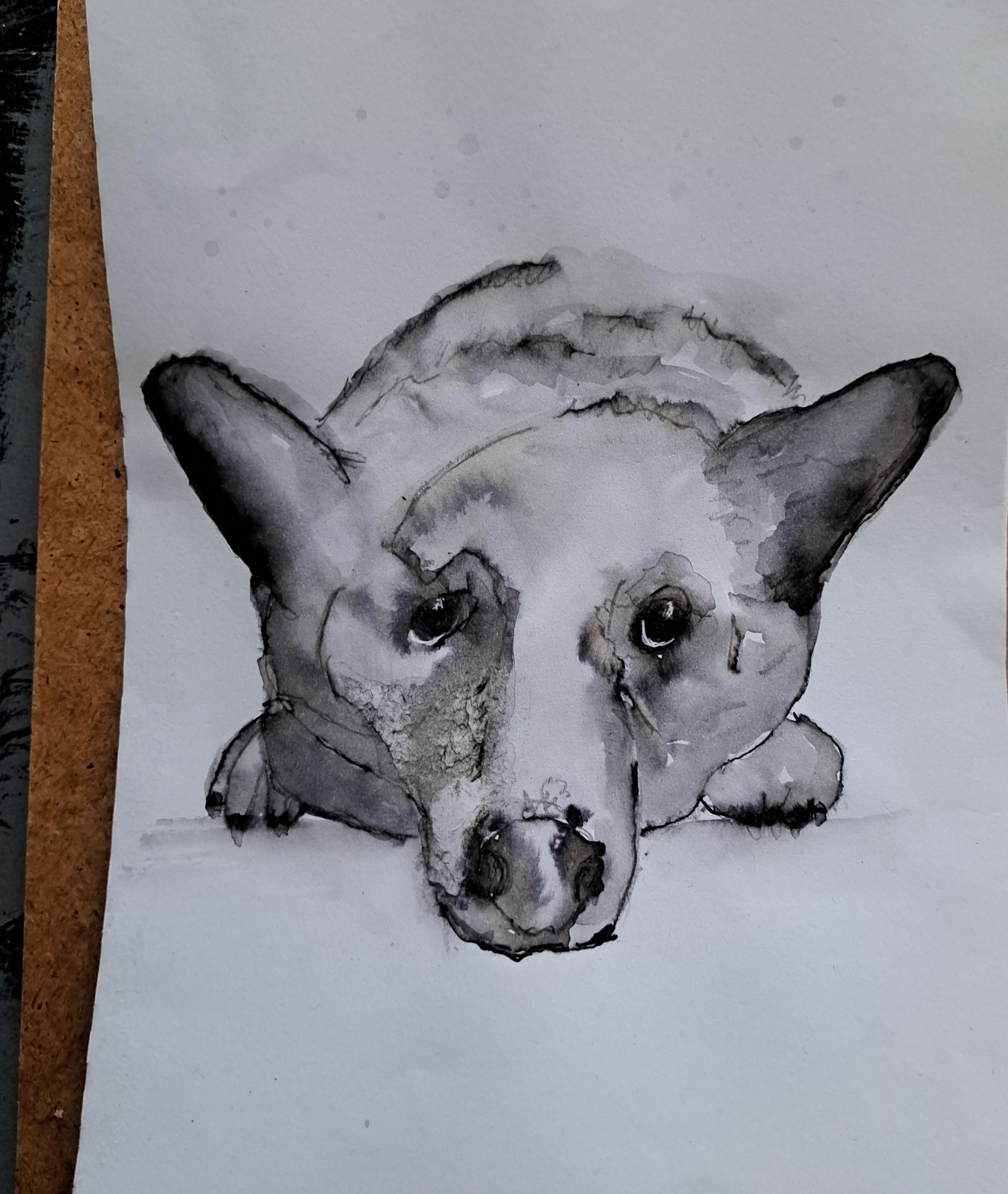 more-projects-from-class-img