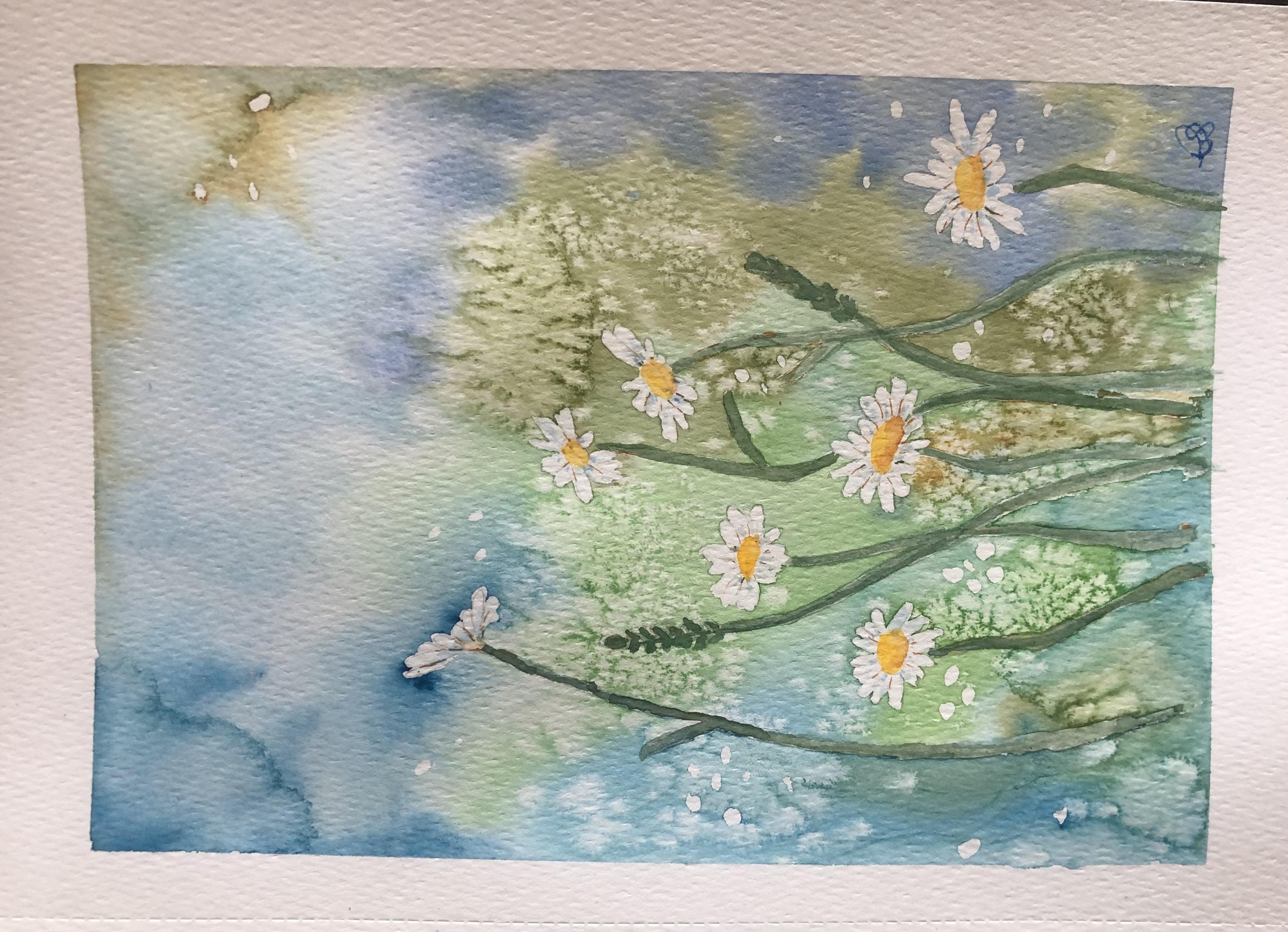 Daisies in the meadow - student project