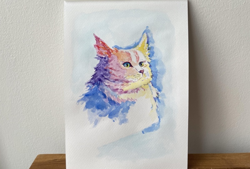 Colourful cat