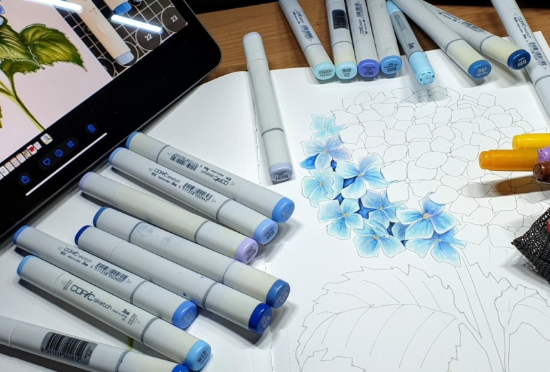 Copic hydrangea