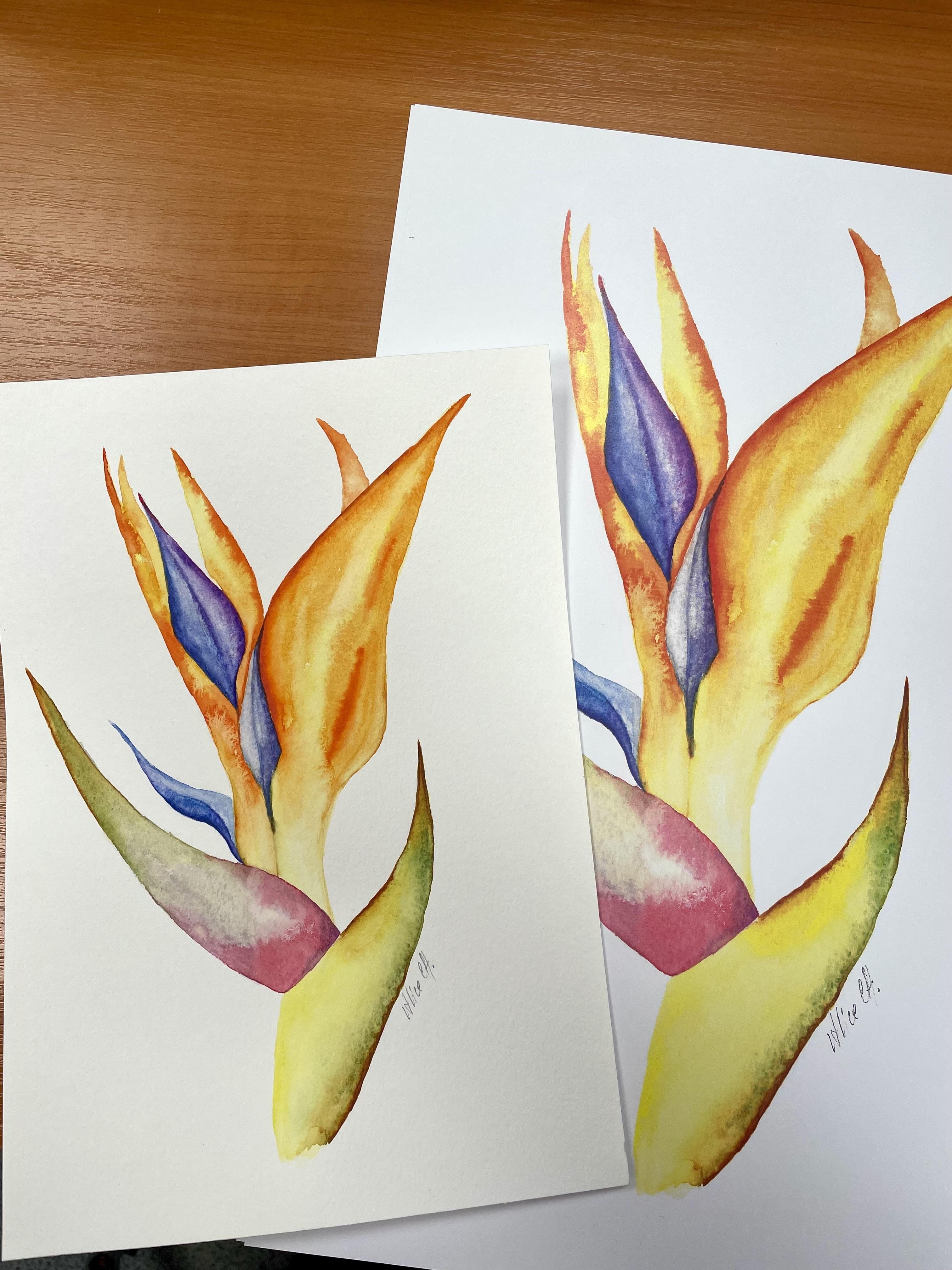 more-projects-from-class-img