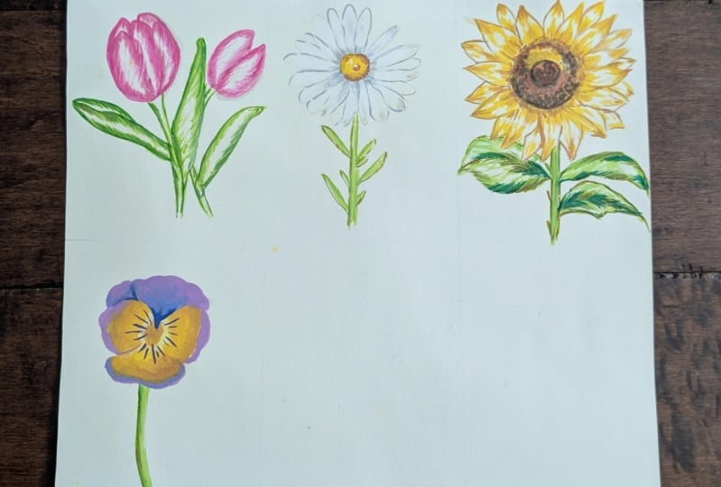 Learn to Color Florals Using Alcohol Markers: A Step-by-Step Guide