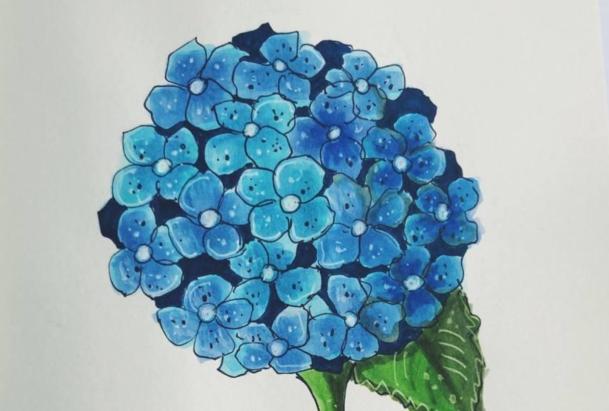 My project - student project
