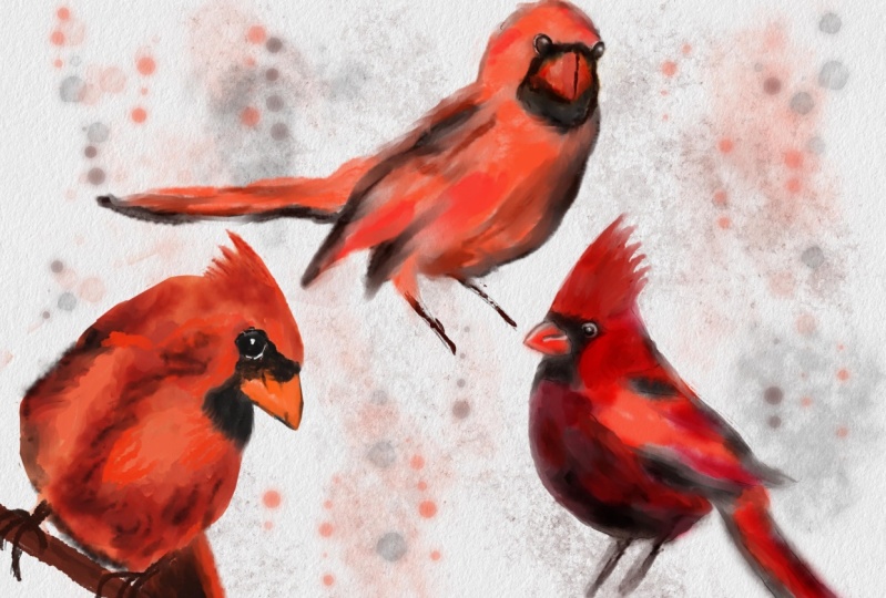 Cardinals