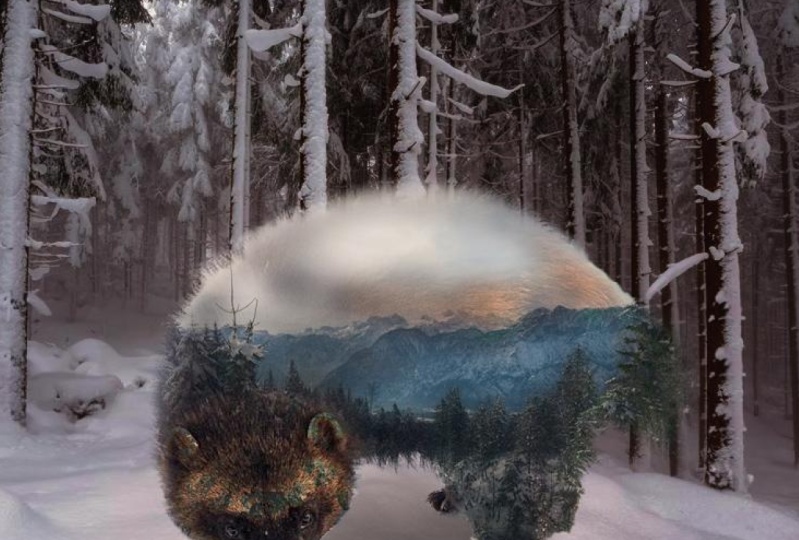 Nature's Phantom