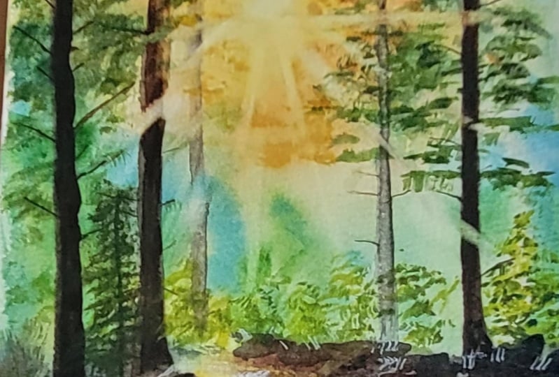 light rays