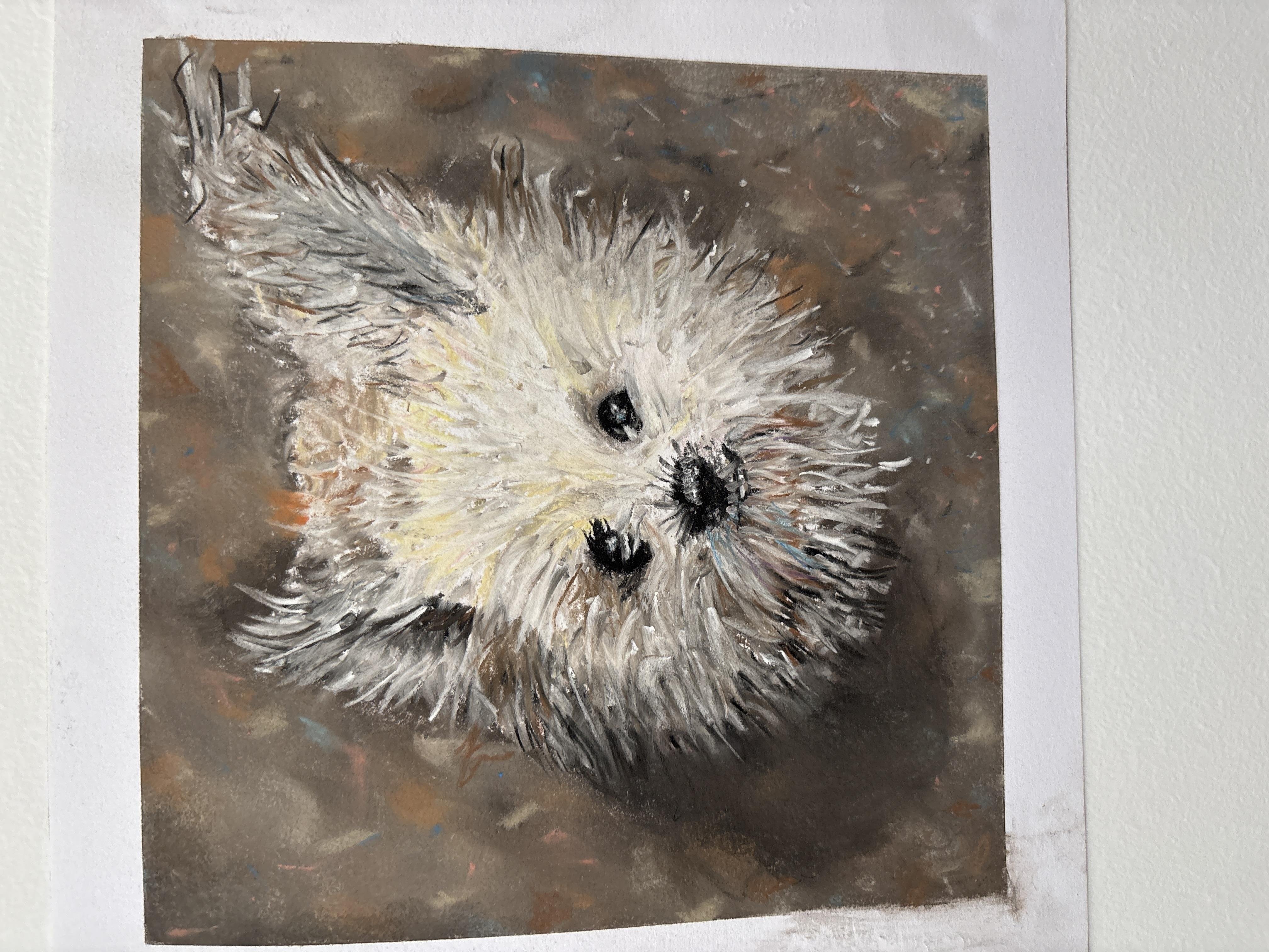 Chalk doggo - student project