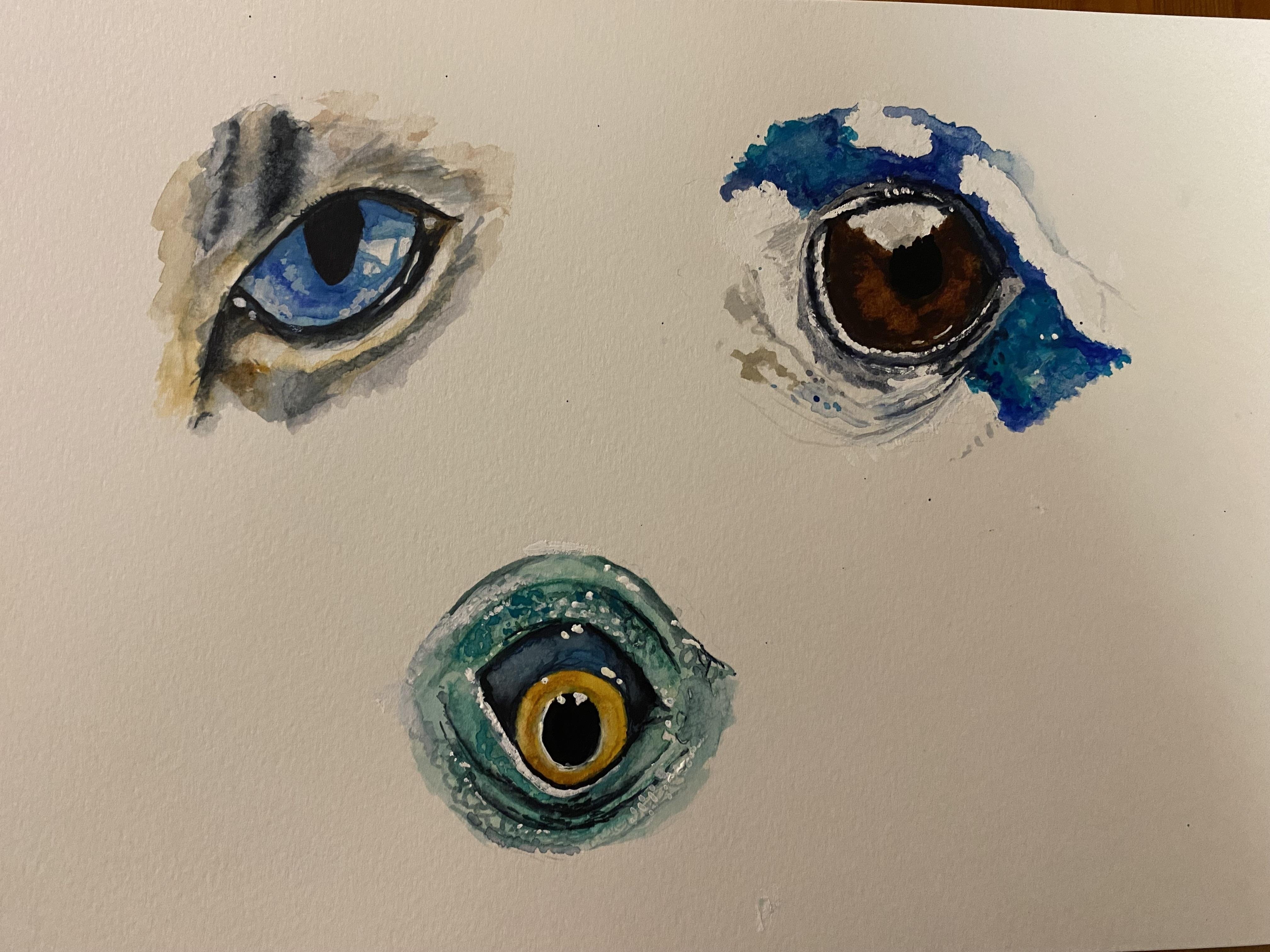 more-projects-from-class-img