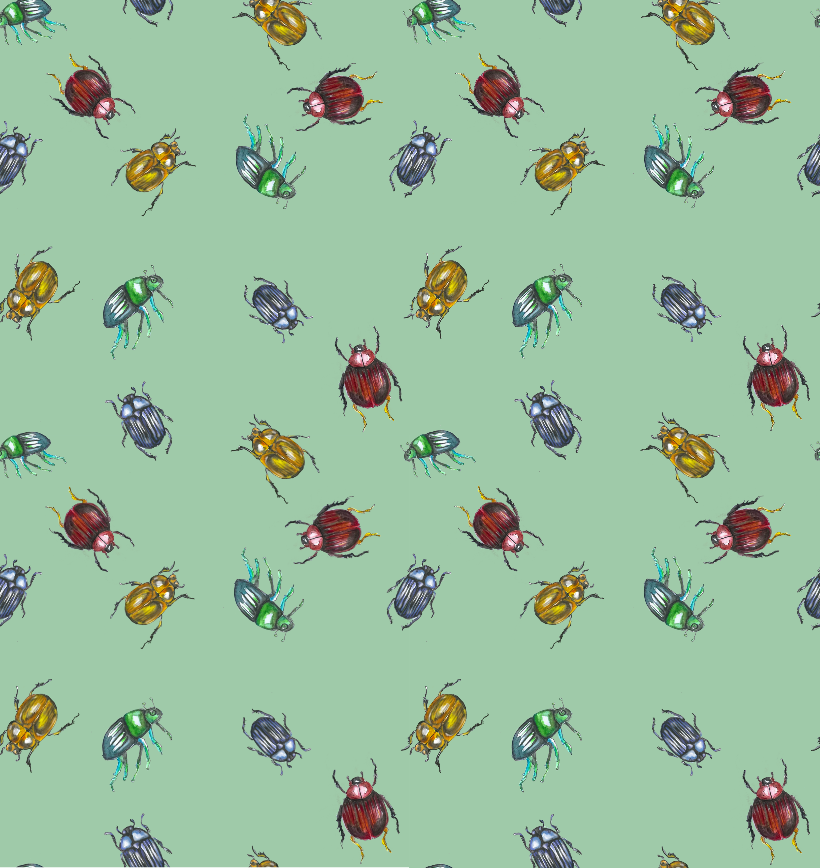 Beetle studies - student project