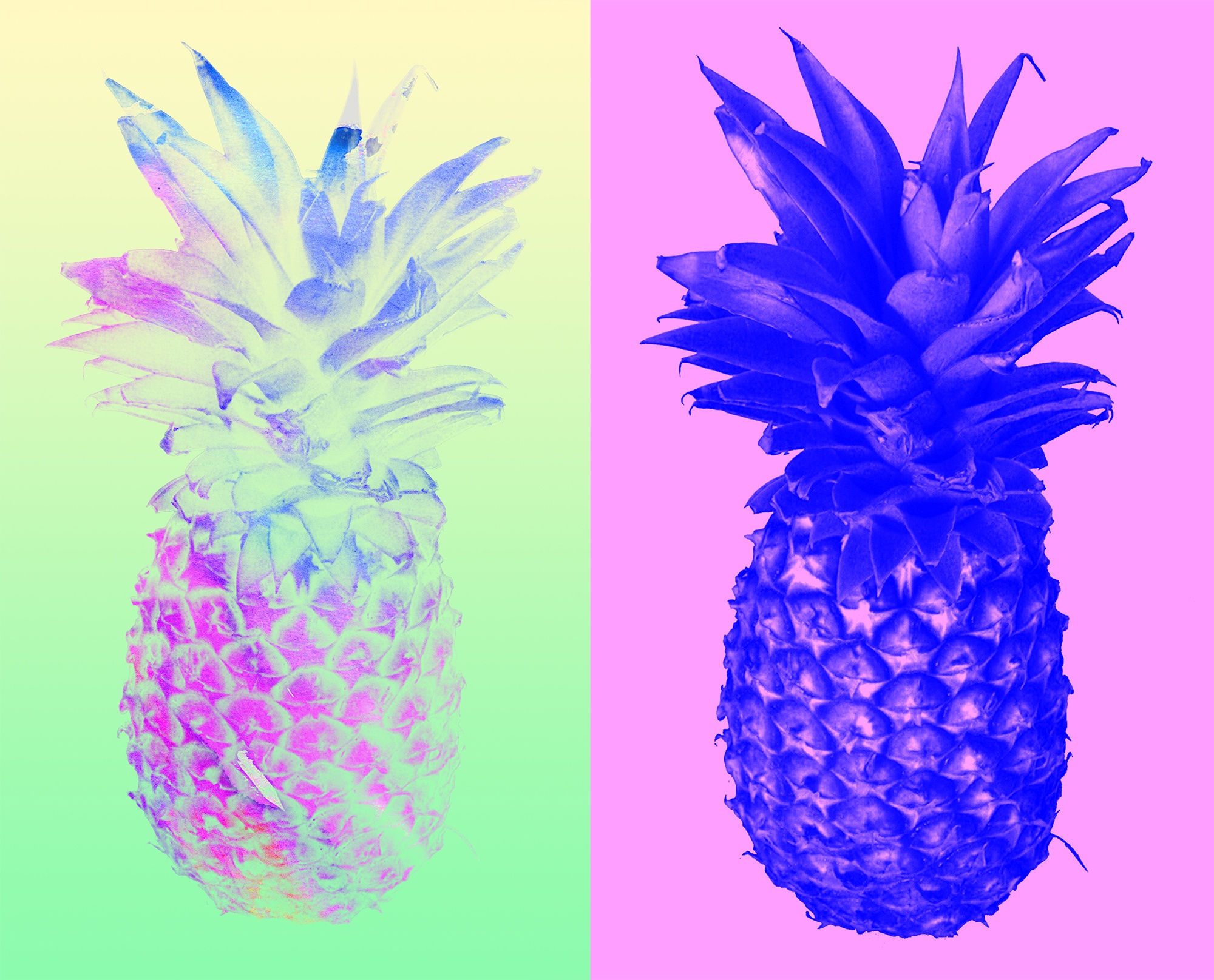 Pastel Pineapples - from Make & Use Photo Brushes - Brushes, Masks, Watercolors - student project