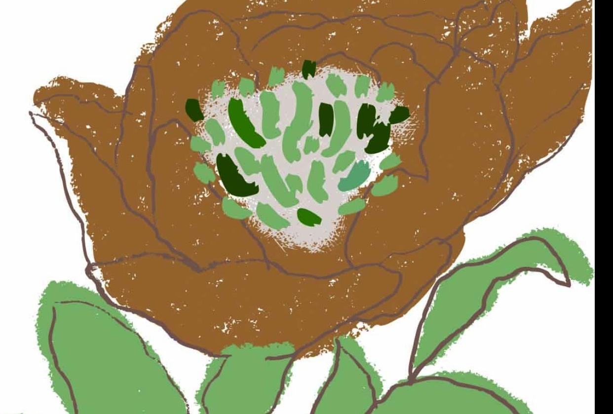 Texture vector flower - student project