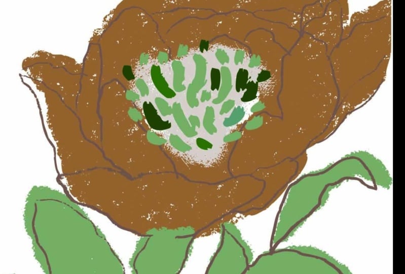Texture vector flower