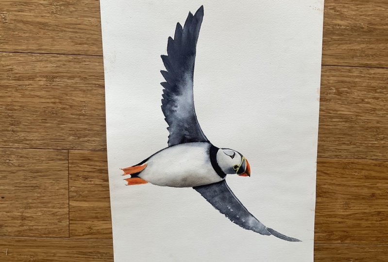 Flying Puffin