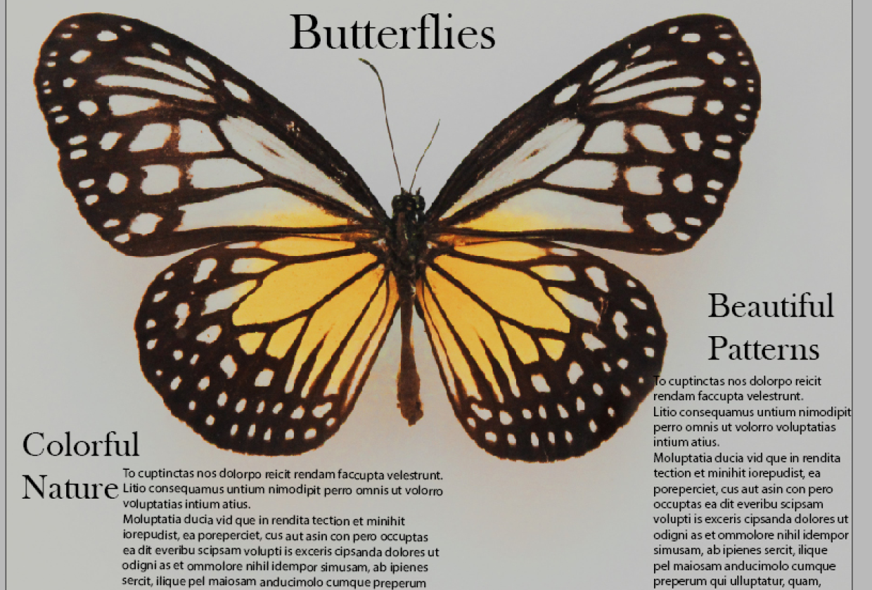 Butterfly Project - student project