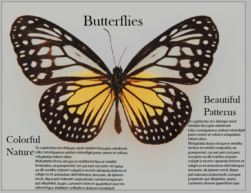 Butterfly Project - student project