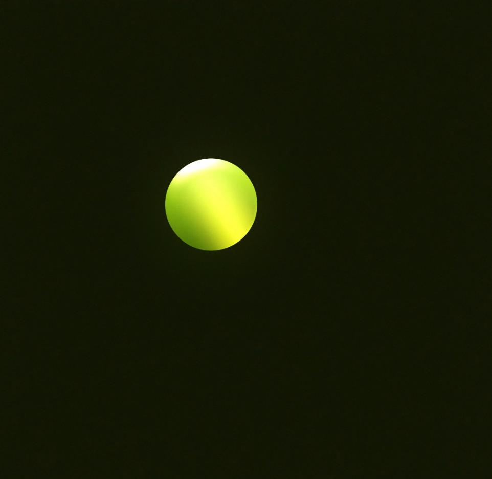When life gives u Lemons - student project