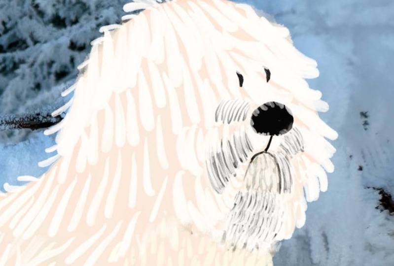 Fluffy Frost