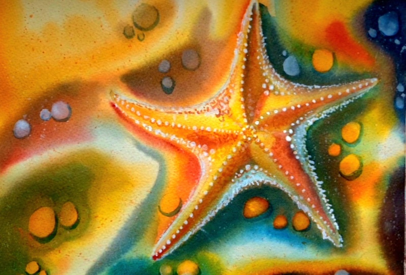 Starfish on a Sandy Beach