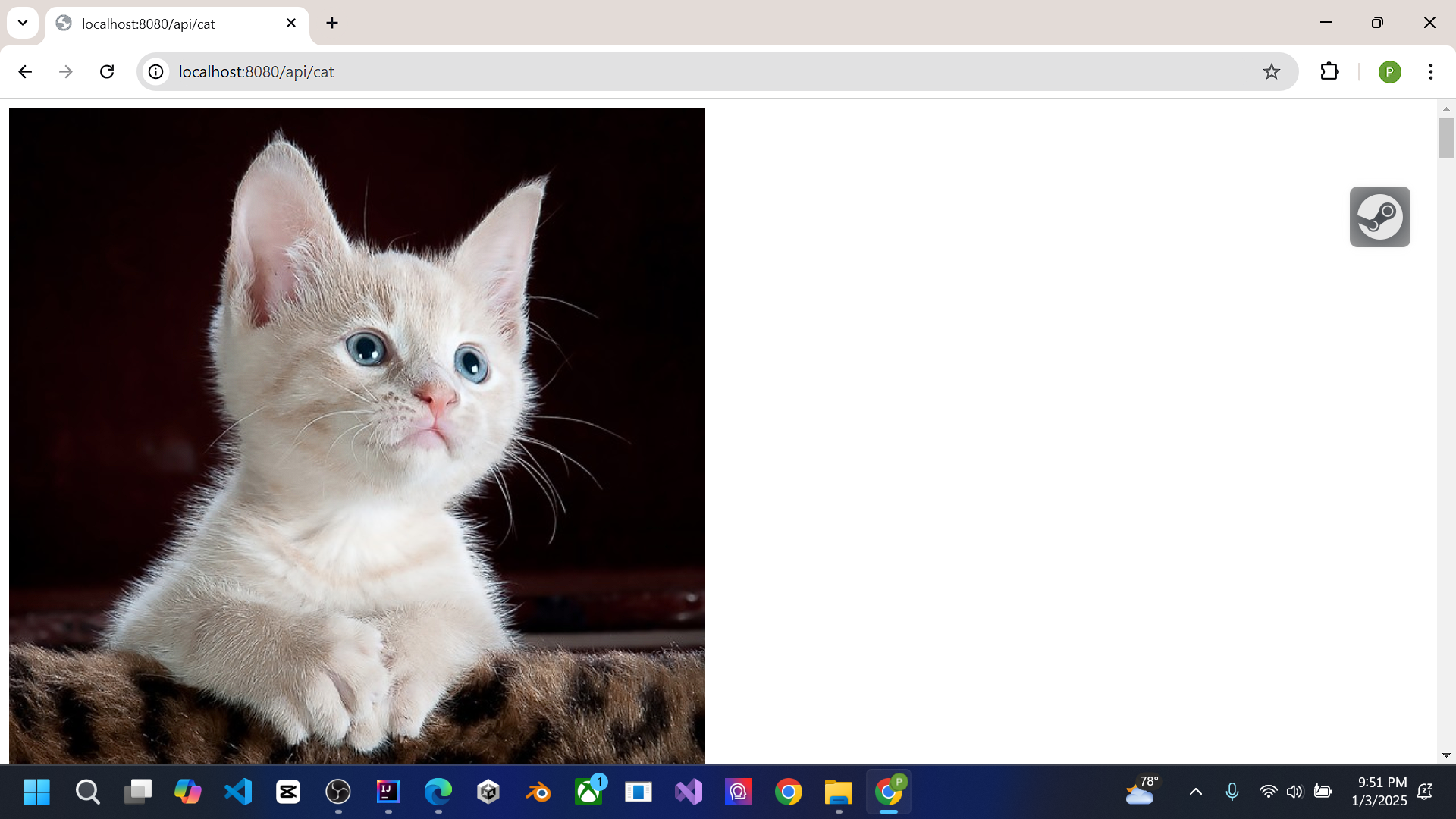 PixiFetch - student project