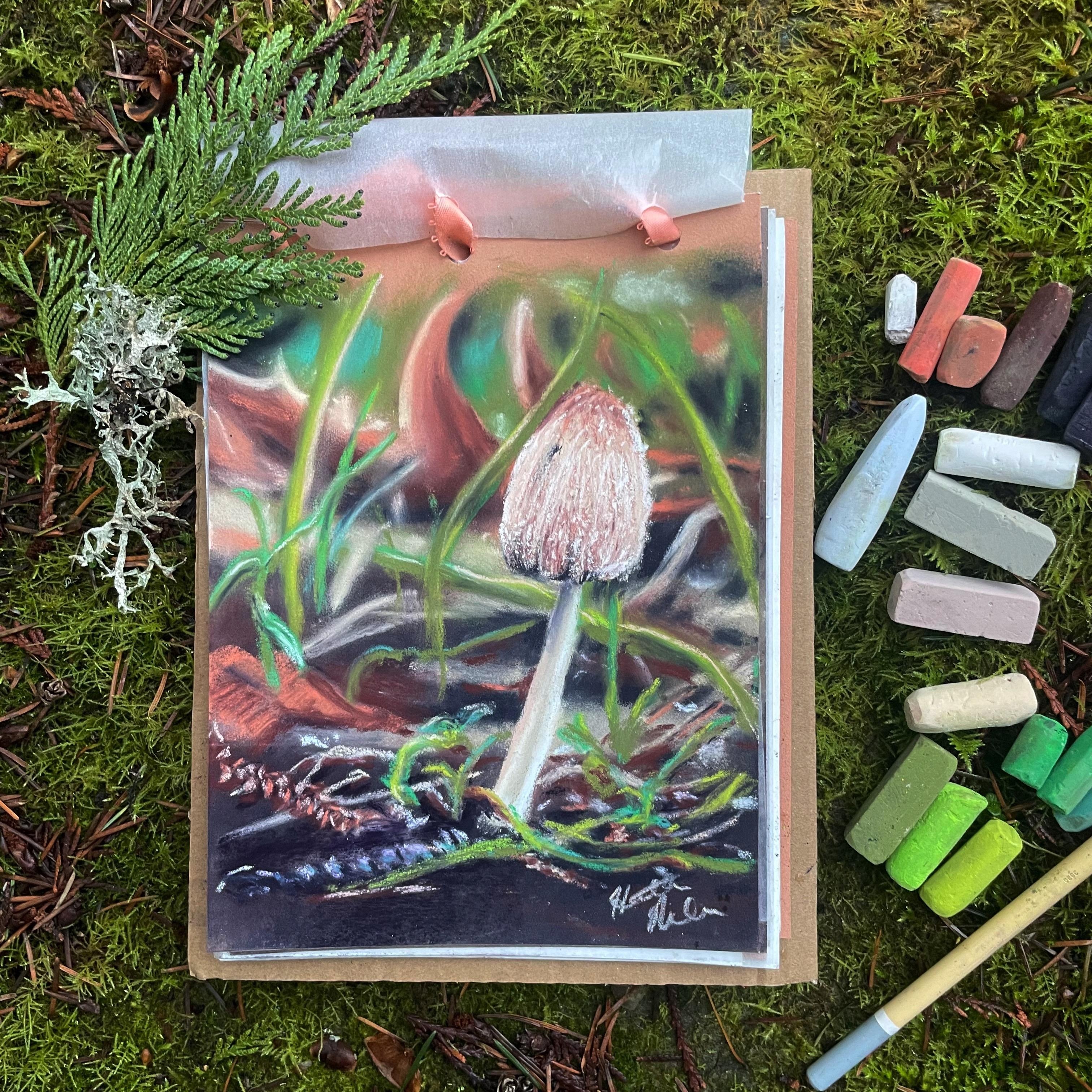 Fun Fungi - student project