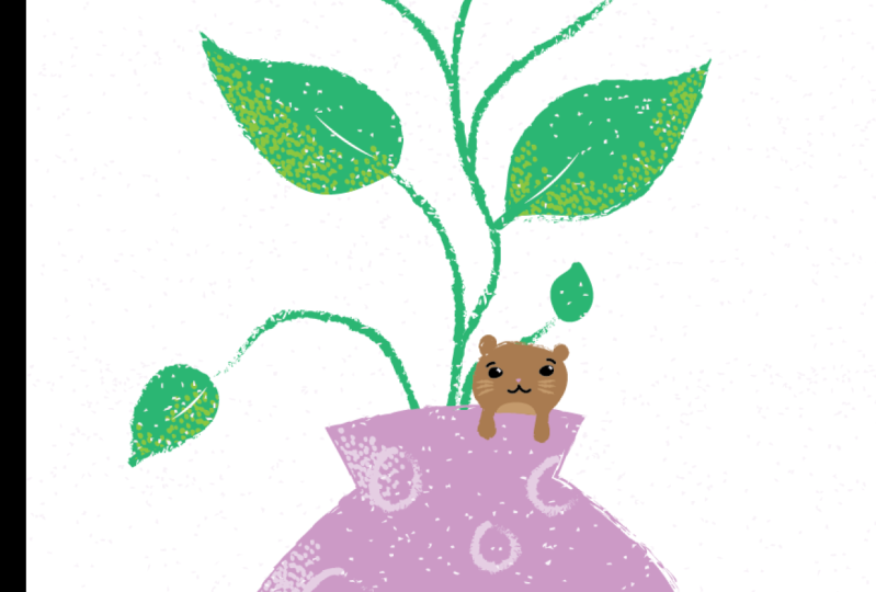 Hamster in a pot