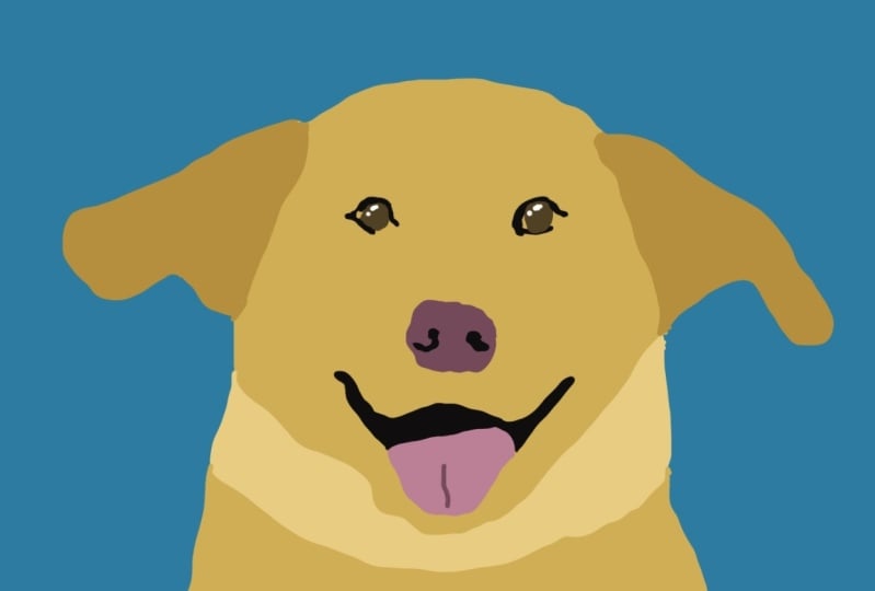 Sunshine dog