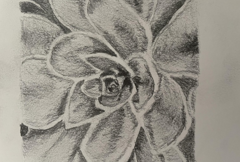 Shading