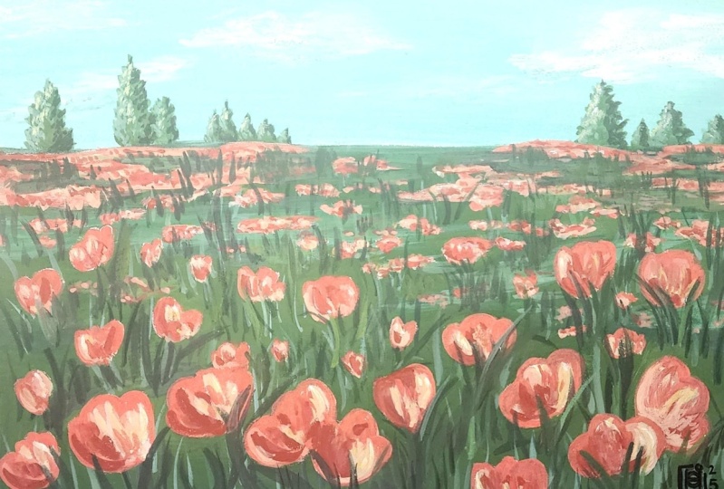 Field of flowers