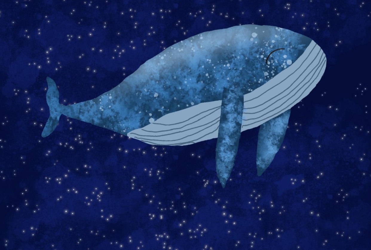 Blue whale - student project