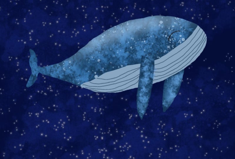 Blue whale