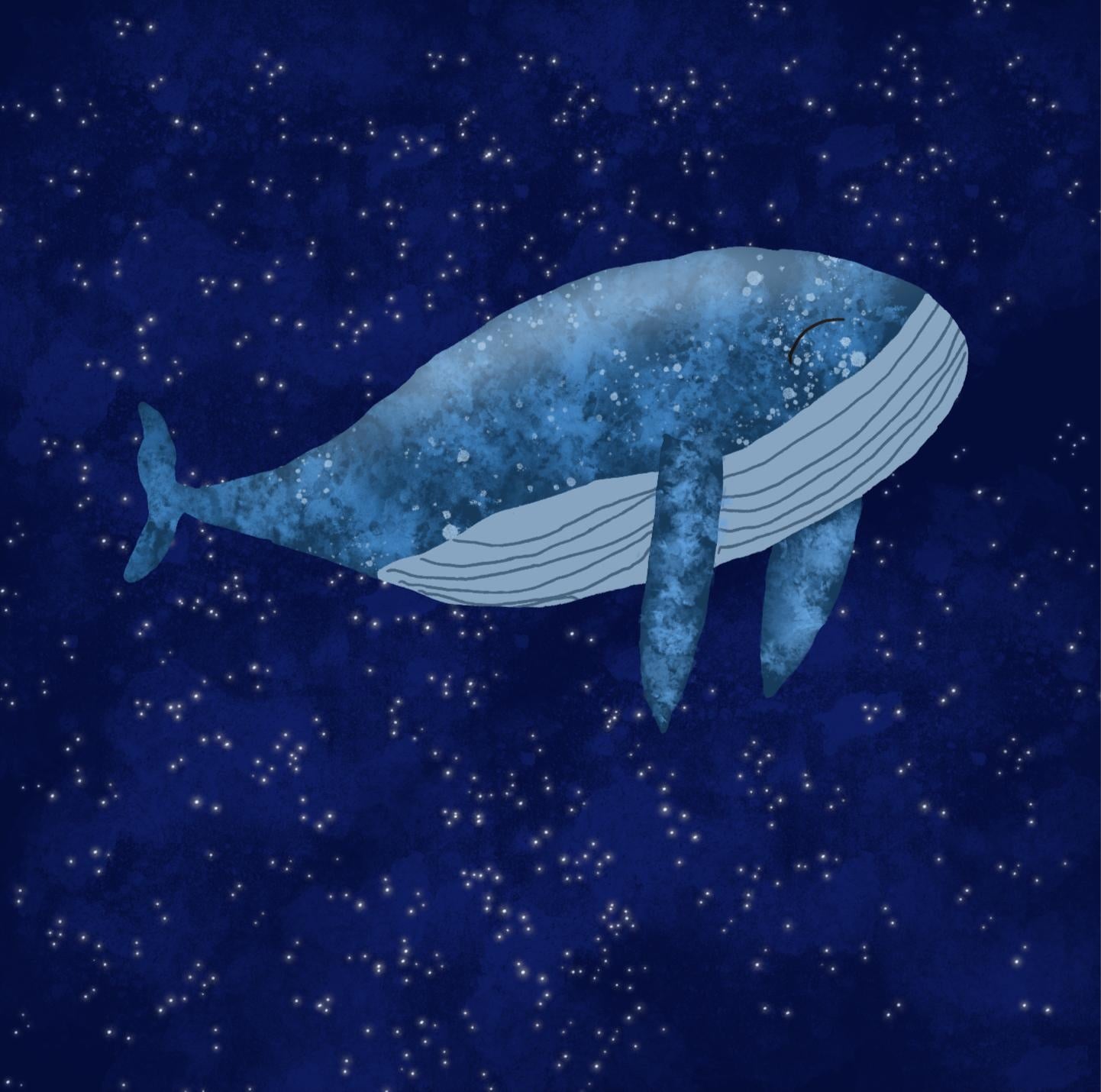Blue whale - student project