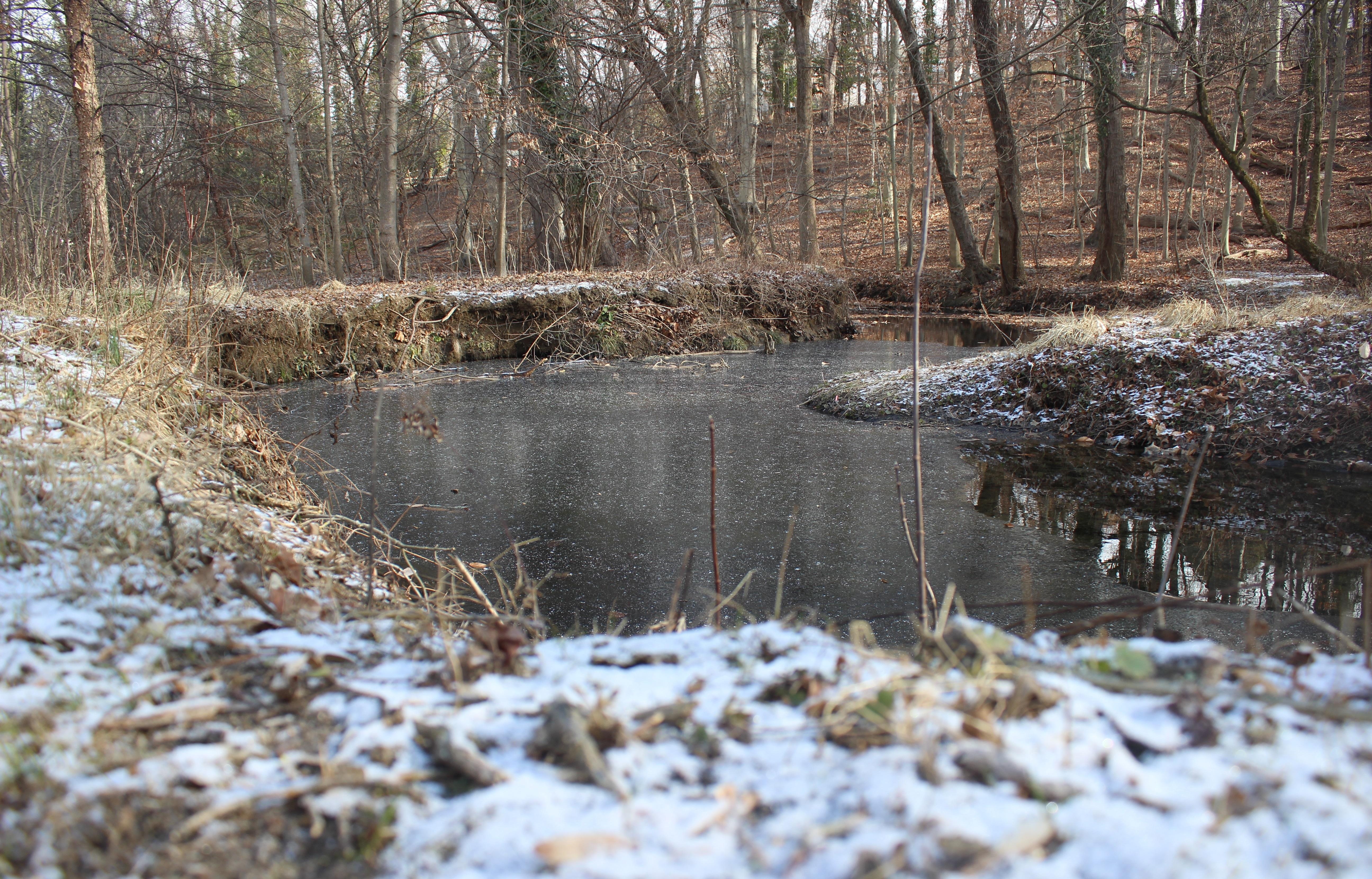 Rule of Thirds - student project