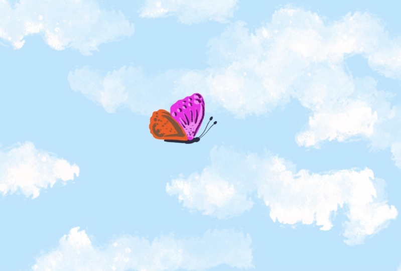 Butterfly Animation