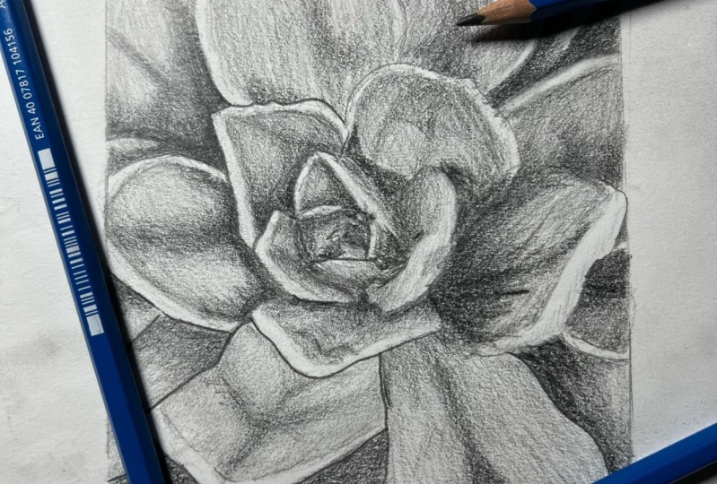 Flower Shading