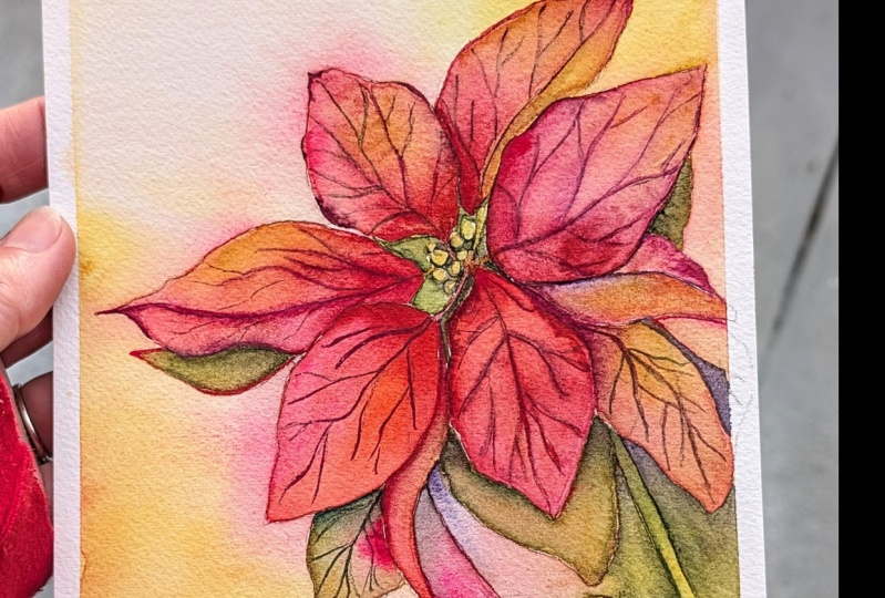 Poinsettia