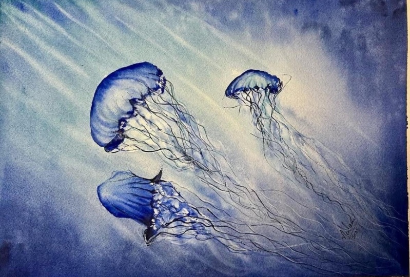 Under the sea….