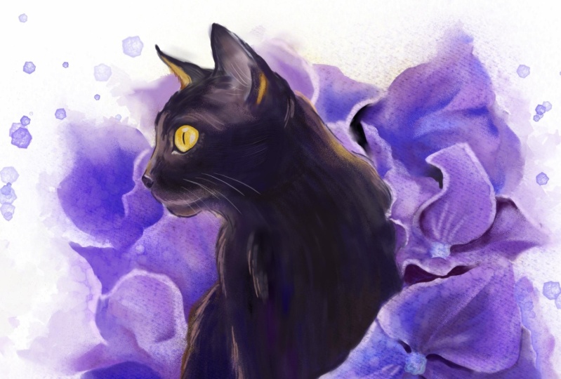 Digital Painting - Black Cat and Hydrangeas
