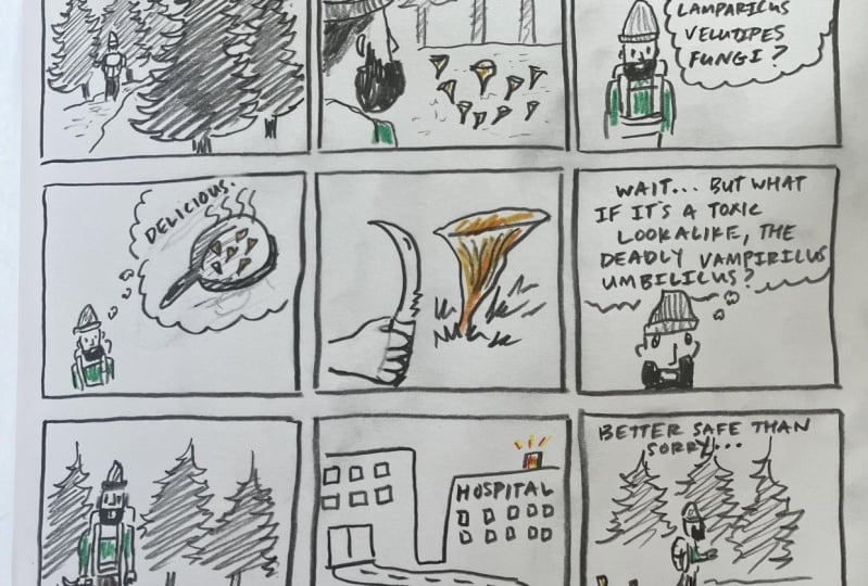 Comic